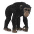 Фото #1 товара COLLECTA Chimpance Female Figure