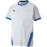 Фото #1 товара Puma teamGOAL 23 Jersey Jr T-shirt 704160 12