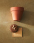 Nasturtium flower garden seed pot kit