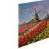 Leinwandbild Tulpen Zaanse Schans