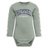 Фото #1 товара Боди для малышей Hummel Fast Flipper Long Sleeve Body