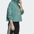 Толстовка женская adidas Originals Trendy Clothing Hoodie синего цвета 38 - фото #5