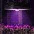 Фото #5 товара Lampa do uprawy wzrostu roślin pełne spektrum 20 x 20 cm 1 LED 50 W czarna