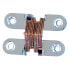 PLASTIMO Enc Brass/Stainless steel Hinge