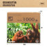 Фото #2 товара Пазл Colorbaby Орангутан 6 штук 68 x 50 x 0,1 см