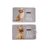 Фото #2 товара Коврик для собак Серый 45 x 0,5 x 69 cm (12 штук)