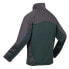 Фото #4 товара REGATTA Highton Winter Fz III fleece