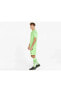 Teamliga Shorts Erkek Futbol Şortu 70492420 Yeşil