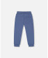 ფოტო #2 პროდუქტის Toddler Boys Fleece Sweatpants With Pockets Blue - Toddler|Child