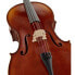 Фото #8 товара Gewa Allegro VC1 Cello 4/4