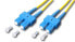 Фото #1 товара Lightwin LDP-50 SC-SC 1.0 OM3 - 1 m - OM3 - SC - SC