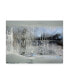 Фото #1 товара Andre Pelletier Fairy Winter Canvas Art - 20" x 25"