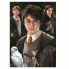 Фото #3 товара Головоломка Harry Potter 1000 Предметы