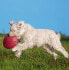 Фото #2 товара Игрушка для собак TRIXIE Диск из каучука 22 см