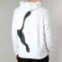 Фото #4 товара Трендовая одежда Puma Hoodie 580566-02