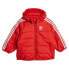 Фото #2 товара ADIDAS ORIGINALS Adicolor HK7452 jacket