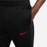Фото #3 товара Nike Liverpool FC Strike M DJ8556 012 Pants