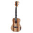 Фото #1 товара Fame Retrowood Concert Ukulele