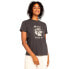 ფოტო #2 პროდუქტის ROXY Summer Fun A short sleeve T-shirt