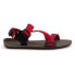 Фото #4 товара XERO SHOES Z-Trail Youth Sandals