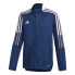 Фото #1 товара ADIDAS Tiro 21-Track Jacket