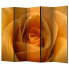 Фото #1 товара Paravent Yellow Rose (5-teilig)