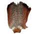 Фото #1 товара BAETIS Partridge Tail Pardilla Feather
