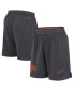 Фото #1 товара Men's Anthracite Clemson Tigers 2024 Sideline Mesh Shorts