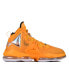 Фото #1 товара Nike Lebron 19