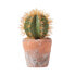Фото #2 товара Klein Künstlicher Kaktus mit orange