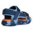 Фото #6 товара GEOX Borealis sandals