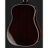 Traveler Guitar Redlands Dreadnought 450E SB