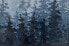 Фото #11 товара Acrylbild handgemalt Tannen im Nebel