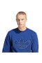 Фото #25 товара Толстовка мужская Adidas Erkek Sweatshirt Is5273