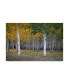 Фото #1 товара J.D. Mcfarlan 'Dixie Forest, Ut' Canvas Art - 19" x 12"