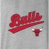 Фото #3 товара Футболка Chicago Bulls Wo Gray Team Slugger
