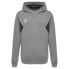 Фото #1 товара HUMMEL Authentic PL hoodie