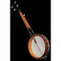 Фото #11 товара Harley Benton BJO-35Pro 5 String Banjo OB