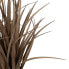 Фото #4 товара Искусственный цветок BB Home Декоративное растение PVC Сталь Цемент 10 x 10 x 9 см 61 см