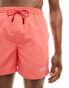 Marshall Artist branded swim short in red