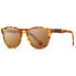 ფოტო #1 პროდუქტის OCEAN SUNGLASSES America Polarized Sunglasses