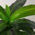 Фото #11 товара Искусственные цветы Homescapes Dracaena Fragrans – künstlicher baum