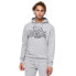 Фото #1 товара LONSDALE Fochabers hoodie