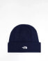 The North Face Norm beanie in navy