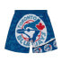 Фото #2 товара MITCHELL & NESS MLB JUMBOTRON 2.0 SUBLIMATED SHORTS TORONTO BLUE JAYS