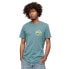 Фото #1 товара SUPERDRY Neon Vintage Logo short sleeve T-shirt