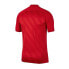 Фото #2 товара T-Shirt Nike Challenge III M BV6703-657