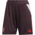 ADIDAS FC Bayern Munich 24/25 training shorts