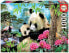 Фото #3 товара EDUCA BORRAS Puzzle 1000 Pieces Panda Bears