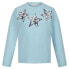 ფოტო #3 პროდუქტის REGATTA Wenbie III long sleeve T-shirt